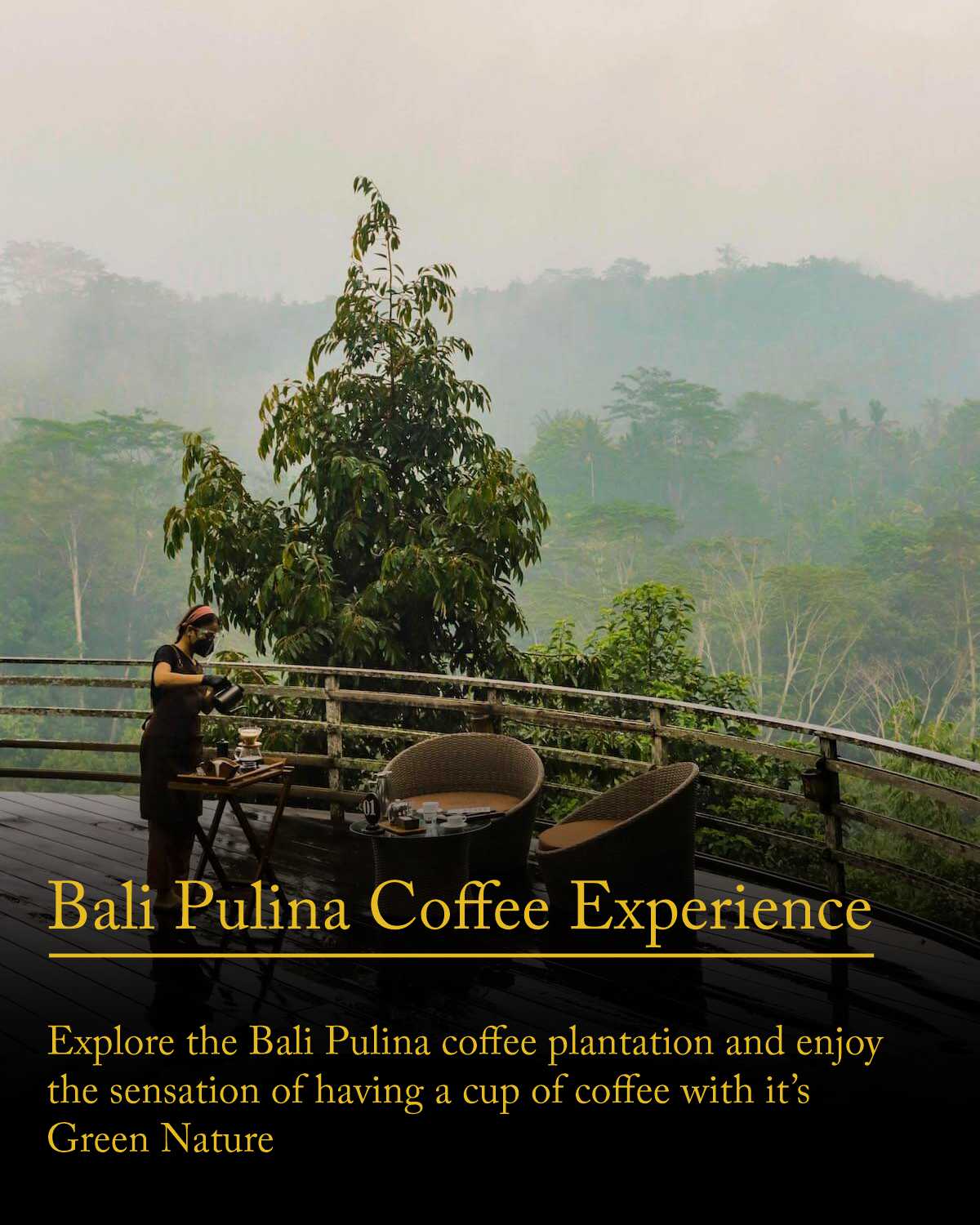 Bali Pulina Coffee Experience
